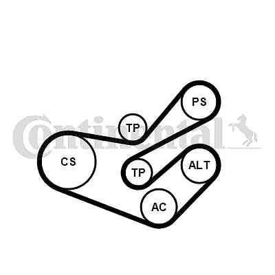 6pk1750k3 continental ctam set - ctam,